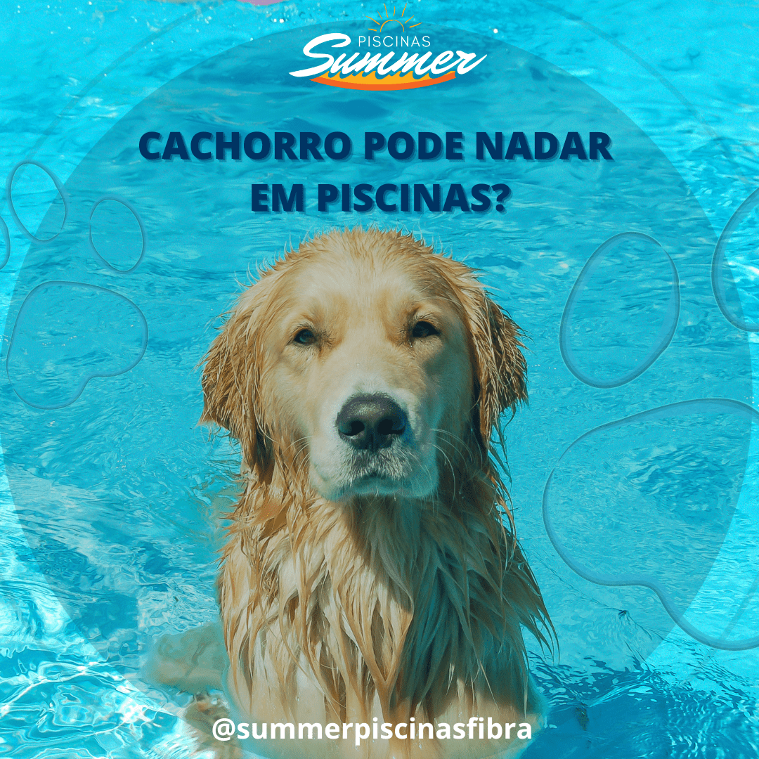 Read more about the article Cachorro pode nadar em piscinas?